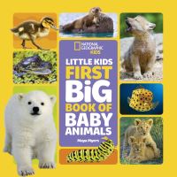 Book Cover for Little Kids First Big Book of Baby Animals by Maya Myers