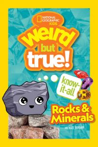 Book Cover for Rocks and Minerals by Michael Burgan