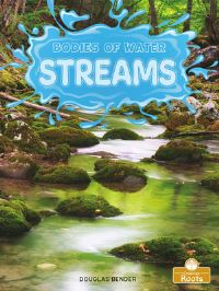 Book Cover for Streams by Douglas Bender