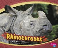 Book Cover for Rhinoceroses by Christopher Forest