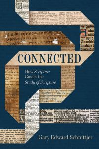 Book Cover for Connected by Gary Edward Schnittjer