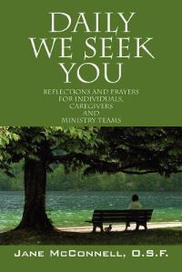 Book Cover for Daily We Seek You by Danish Rahi