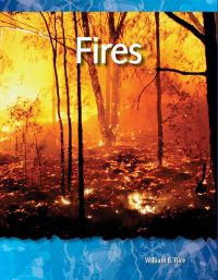 Book Cover for Fires by William B Rice, William Rice, William Rice, William Rice