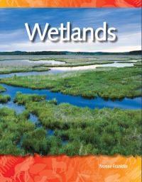 Book Cover for Wetlands by Sylvia Nasar