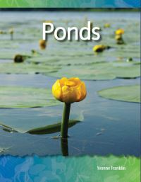 Book Cover for Ponds by Craig Clevenger