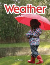 Book Cover for Weather (Wordless) by Kelli Allen