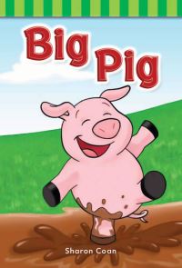Book Cover for Big Pig by Janelle BellMartin