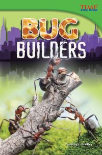 Book Cover for Bug Builders by Timothy J Bradley
