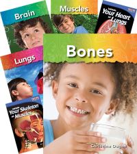 Book Cover for Our Bodies Set 8-Book Set Grades 1-3 by Multiple Authors