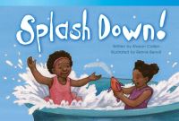 Book Cover for Splash Down! by Sharon Callen