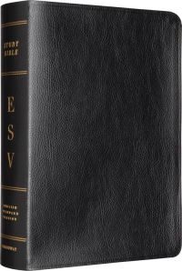 Book Cover for Study Bible by 