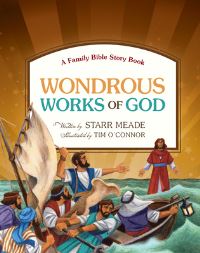 Book Cover for Wondrous Works of God by Starr Meade, Tim OConnor