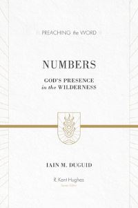 Book Cover for Numbers by Iain M Duguid
