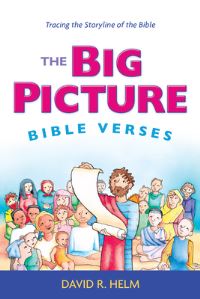 Book Cover for The Big Picture Bible Verses by David R Helm