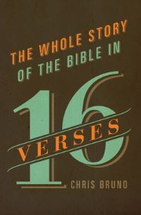Book Cover for The Whole Story of the Bible in 16 Verses by Chris Bruno