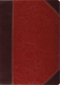 Book Cover for Study Bible-ESV-Portfolio Design by Crossway Bibles