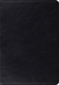 Book Cover for Study Bible-ESV by Crossway Bibles