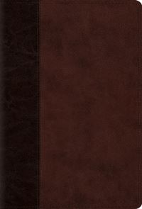 Book Cover for Psalms-ESV-Timeless Design by Crossway Bibles