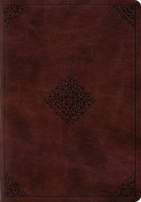Book Cover for Study Bible-ESV-Ornament Design by Crossway Bibles