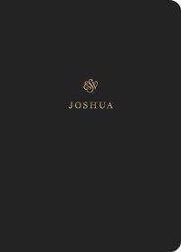 Book Cover for ESV Scripture Journal by Esv Bibles