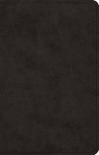 Book Cover for Ultrathin Bible-ESV by Crossway Bibles