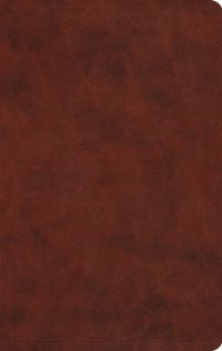 Book Cover for Large Print Value Thinline Bible-ESV by Crossway Bibles