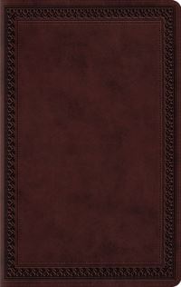 Book Cover for Large Print Value Thinline Bible-ESV-Border Design by Crossway Bibles