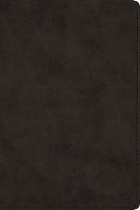 Book Cover for Large Print Bible-ESV by Crossway Bibles