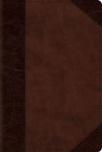 Book Cover for ESV Personal Reference Bible (Trutone, Brown/Walnut, Portfolio Design) by Esv Bibles