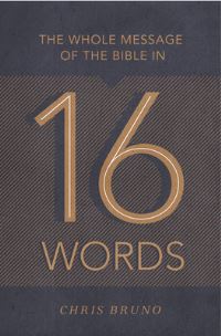 Book Cover for The Whole Message of the Bible in 16 Words by Chris Bruno