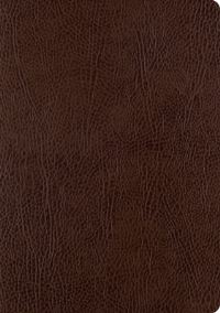 Book Cover for ESV Single Column Journaling Bible, Large Print (Mocha) by Esv Bibles