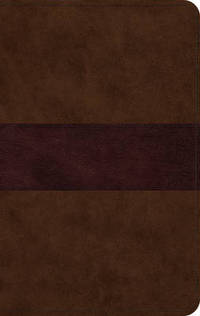 Book Cover for ESV Large Print Thinline Bible (Trutone, Chocolate/Plum, Trail Design) by T Desmond Alexander