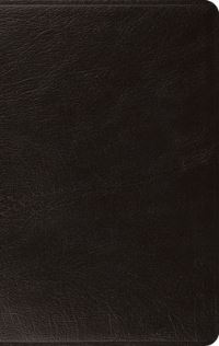 Book Cover for ESV Large Print Thinline Bible (Black) by T Desmond Alexander