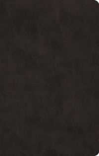 Book Cover for ESV Large Print Value Thinline Bible (Trutone, Black) by T Desmond Alexander