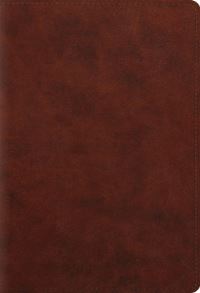 Book Cover for ESV Student Study Bible (Trutone, Chestnut) by Esv Bibles