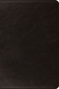 Book Cover for ESV Large Print Bible (Black) by Esv Bibles