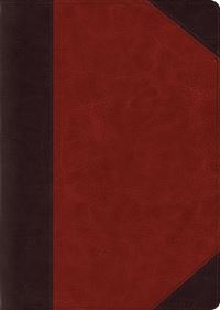 Book Cover for ESV Study Bible, Large Print (Trutone, Brown/Cordovan, Portfolio Design) by Esv Bibles