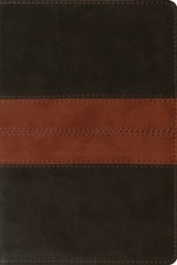 Book Cover for ESV Personal Reference Bible (Trutone, Deep Brown/Tan, Trail Design) by Esv Bibles