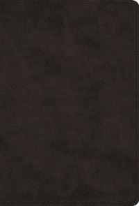 Book Cover for The Greek New Testament, Produced at Tyndale House, Cambridge (Trutone, Black) by Esv Bibles
