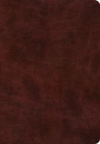 Book Cover for ESV Super Giant Print Bible (Trutone, Burgundy) by Esv Bibles