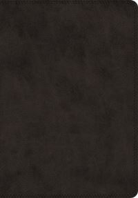 Book Cover for ESV Super Giant Print Bible (Trutone, Black) by Esv Bibles