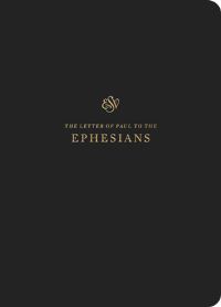 Book Cover for ESV Scripture Journal by Esv Bibles