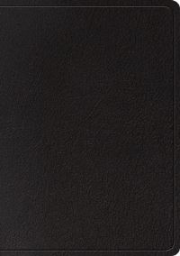 Book Cover for ESV Large Print Wide Margin Bible (Black) by Esv Bibles