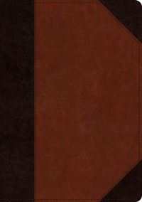 Book Cover for ESV Large Print Wide Margin Bible (Trutone, Brown/Cordovan, Portfolio Design) by Esv Bibles