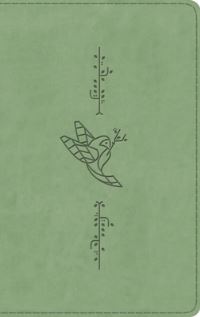 Book Cover for ESV Kid's Thinline Bible (Trutone, Bird of the Air) by 