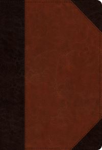 Book Cover for ESV Student Study Bible (Trutone, Brown/Cordovan, Portfolio Design) by Esv Bibles