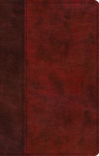 Book Cover for ESV Large Print Thinline Bible (Trutone, Burgundy/Red, Timeless Design) by Esv Bibles