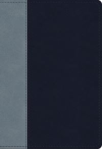 Book Cover for ESV Student Study Bible (Trutone, Navy/Slate, Timeless Design) by 