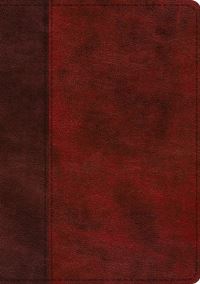 Book Cover for ESV Single Column Journaling Bible, Large Print (Trutone, Burgundy/Red, Timeless Design) by Esv Bibles