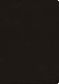Book Cover for ESV Single Column Journaling Bible, Large Print (Trutone, Deep Brown) by Esv Bibles